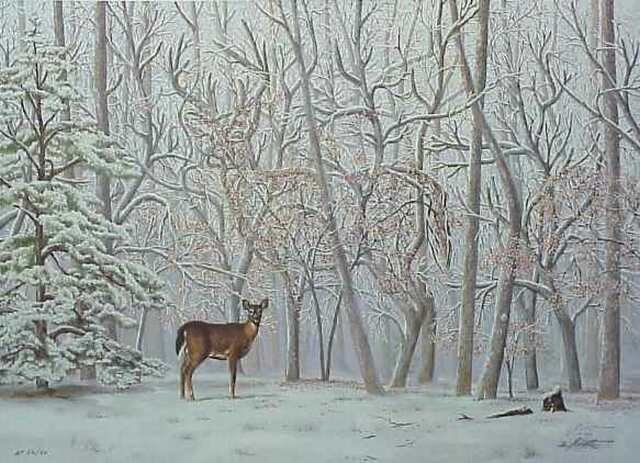 Unusual Art