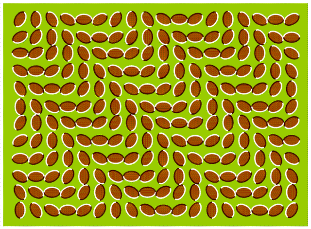 Visual Illusions