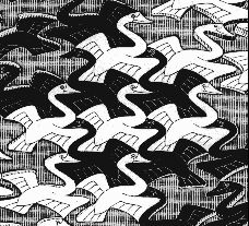 Visual Illusions
