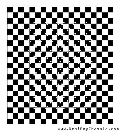 Visual Illusions