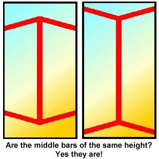 visual Illusions