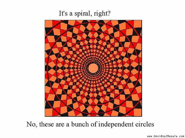 Visual Illusions