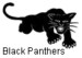 Black Panthers