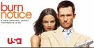 Burn Notice Show