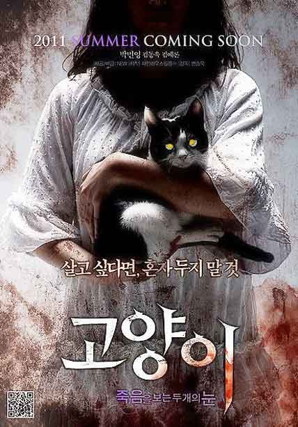 The Cat