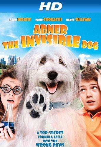 Abner The Invisible Dog