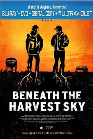 Beneath The Harvest Sky