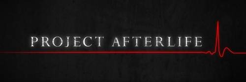 Project Afterlife