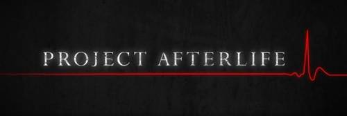 Project Afterlife