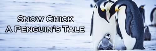 Snow Chick: A Penguin's Tale