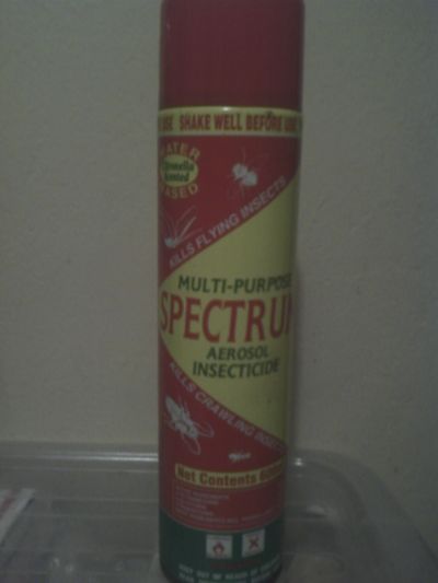 Spectrum Multi-purpose Aerosol Insecticide