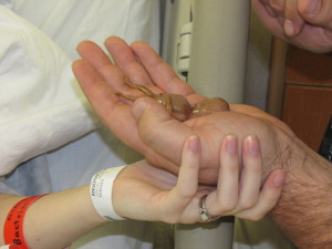 Miscarried At 14 Weeks