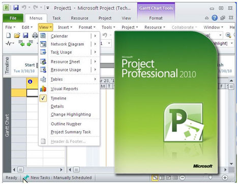 Microsoft Project 2010