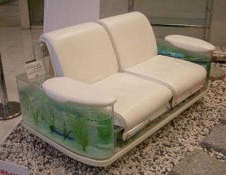 $12,000 Sofa Aquarium