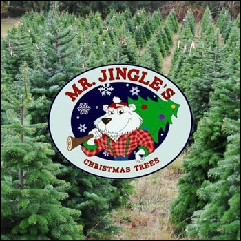 Mr. Jingle's Christmas Trees
