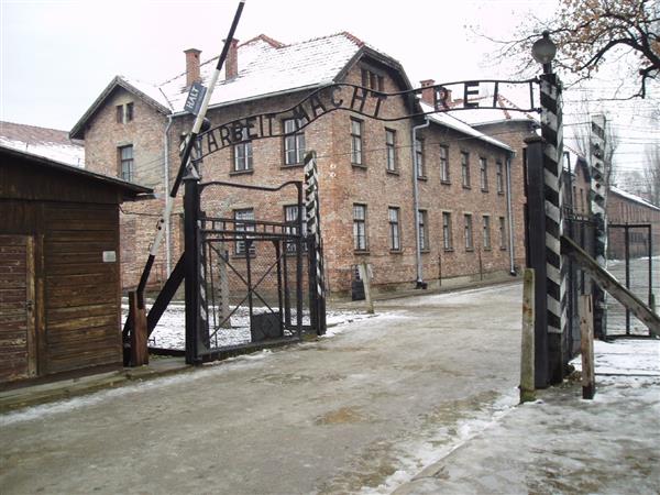 The Horror Of Auschwitz