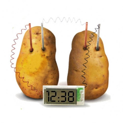 Potato Clock By Kids Lab Green Science