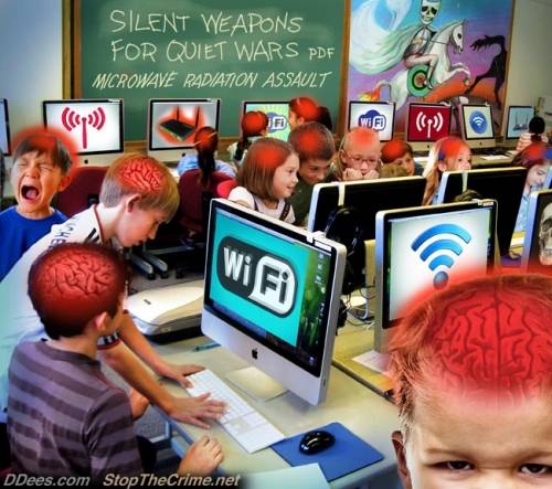 Wifi & Your Brain
