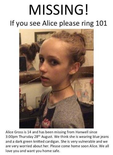 Alice Gross Murder Case