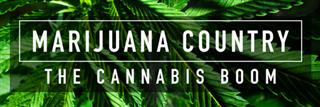 Marijuana Country The Cannabis Boom