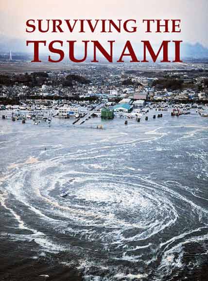 Surviving The Tsunami