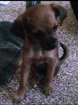 Gigi At 5 Weeks