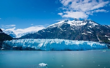 Glacier Bay - Lamplugh Glacier
