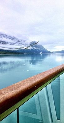 A View Of The Star Princess