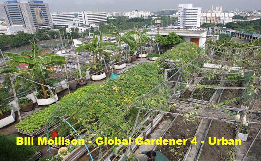 Bill Mollison - Global Gardener 4 - Urban