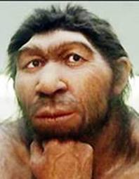 Human Neanderthal Link