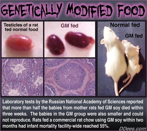 Genetically Modified Food - GMO