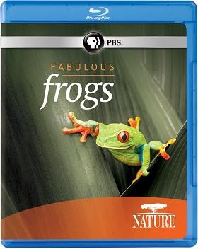 Nature Fabulous Frogs