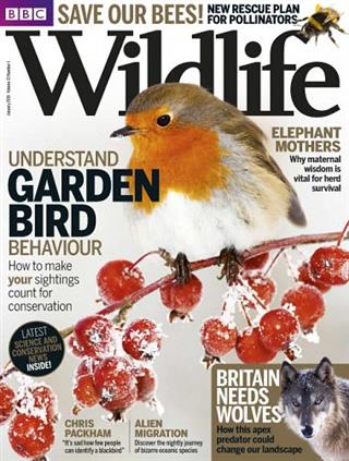 BBC Wildlife Magazine