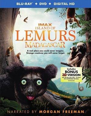 Island Of Lemurs Madagascar