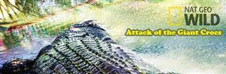 Nat Geo Wild Attack Of The Giant Crocs