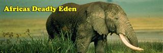 Wild World Africa's Deadly Eden