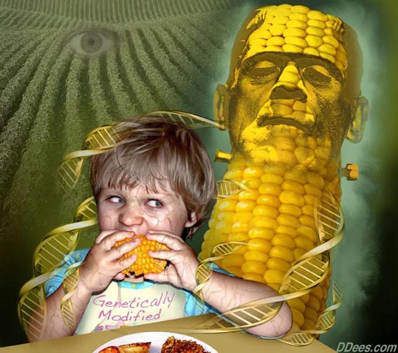 Franken Corn