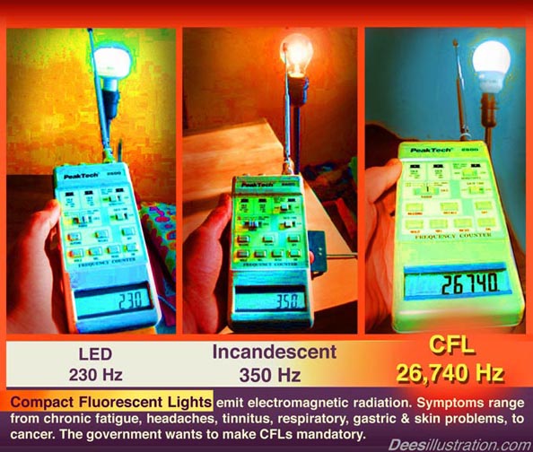 Compact Fluorescent Lamp - CFL