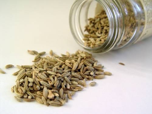 Fennel Seeds For Health