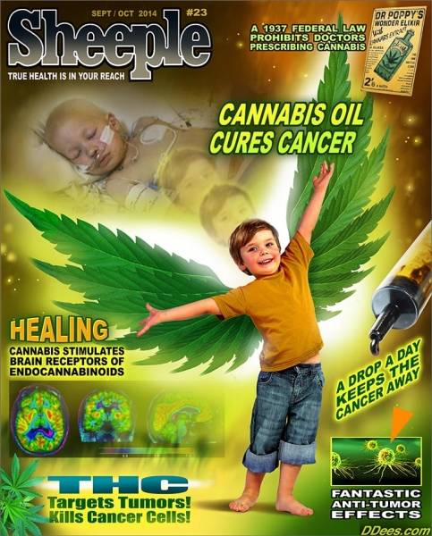 Marijuana As A Cure All?