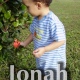Discuss  Jonah & Flowers