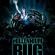 Discuss  The Millenium Bug