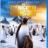 Best of  The Penguin King