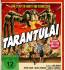 Best of  Tarantula