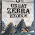 Top  Nature Great Zebra Exodus