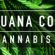 Best of  Marijuana Country Cannabis Boom