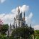 Top  Walt Disney World Resort