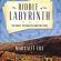 Discuss  The Riddle Labyrinth