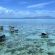 Discuss  Bajau People Malaysia