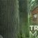   Treehouse Masters